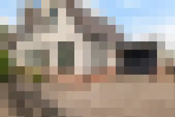 Gamander 34 Dronten thumbnail 7