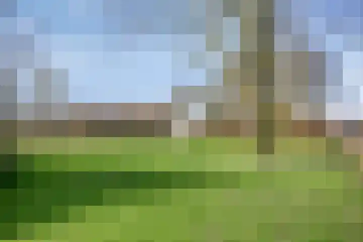 Gamander 38 Dronten thumbnail 41
