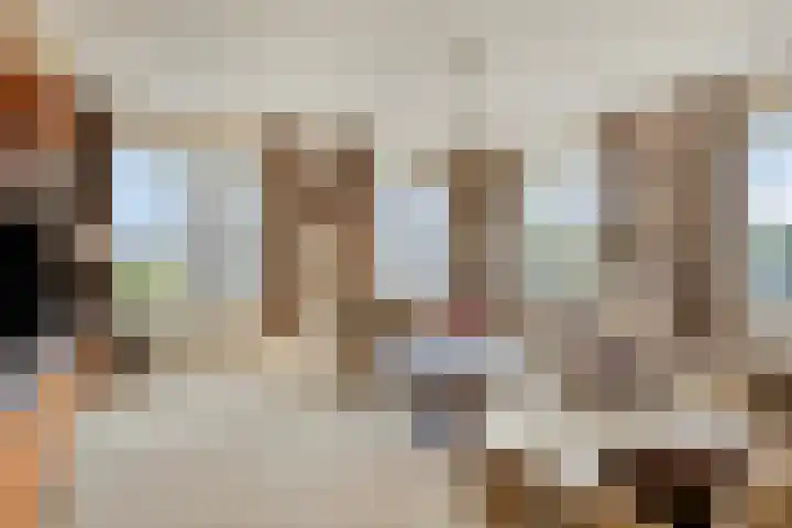 Gamander 6 Heinkenszand thumbnail 13