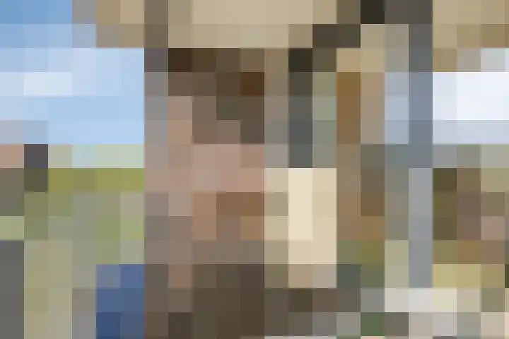 Gamander 6 Heinkenszand thumbnail 27