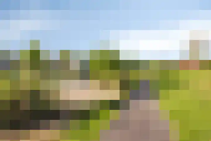 Gamander 6 Heinkenszand thumbnail 33