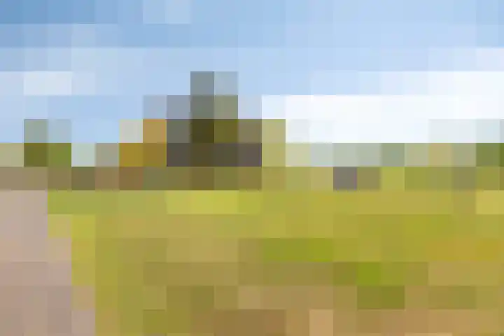 Gamander 6 Heinkenszand thumbnail 34