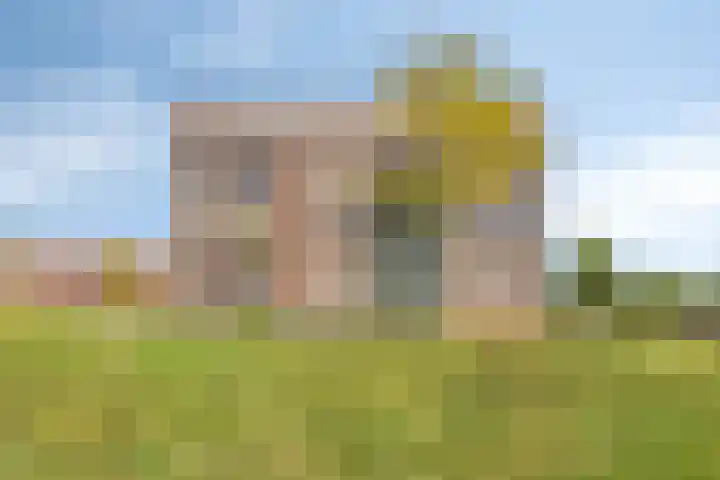 Gamander 6 Heinkenszand thumbnail 4