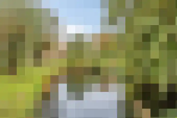 Gamandertuin 1 Leiden thumbnail 36