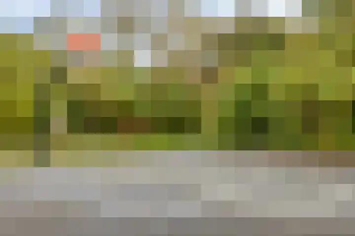 Gamandertuin 1 Leiden thumbnail 38