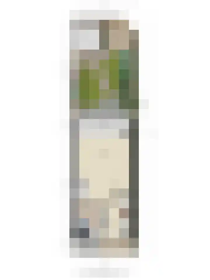 Gamandertuin 1 Leiden thumbnail 42