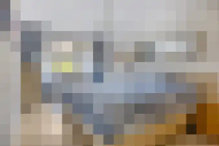 Gamandertuin 1 Leiden thumbnail 5