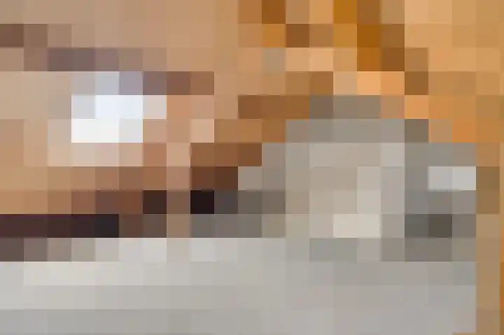 Gamanderweerd 8 Maastricht thumbnail 14