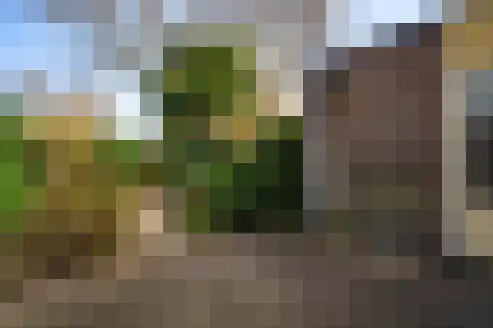 Gamanderweerd 8 Maastricht thumbnail 15