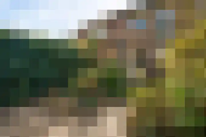 Gamanderweerd 8 Maastricht thumbnail 16
