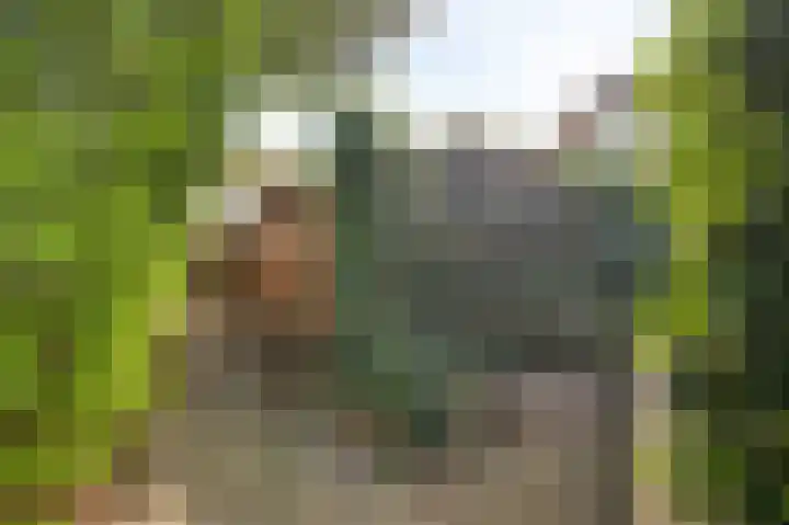 Gamanderweerd 8 Maastricht thumbnail 17