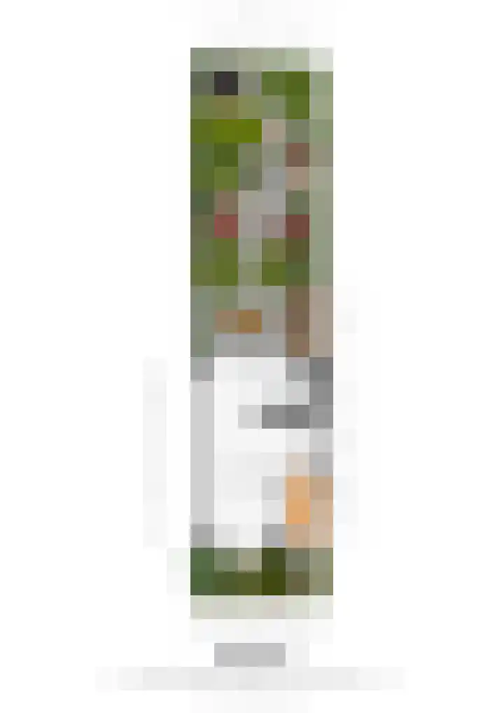 Gamanderweerd 8 Maastricht thumbnail 21