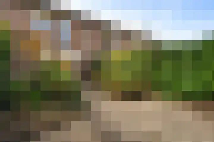Gamanderweerd 8 Maastricht thumbnail 4