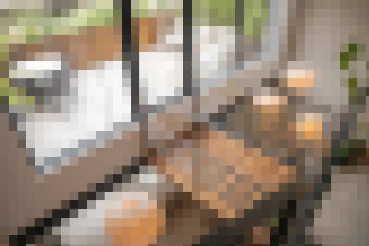 Gamerenstraat 20 A Amsterdam thumbnail 14