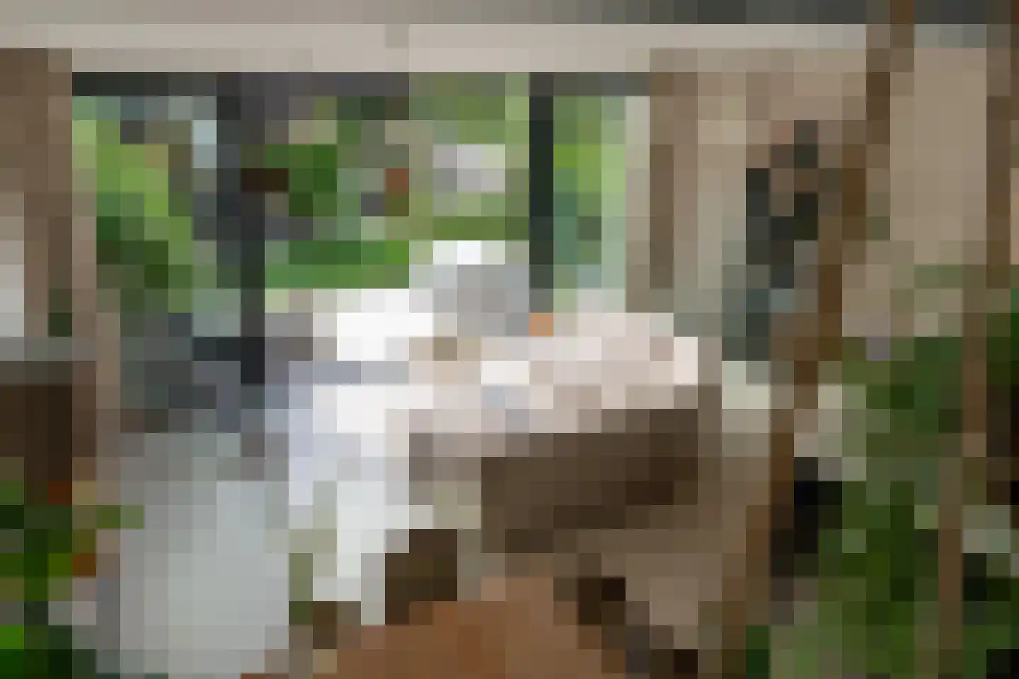 Gamerenstraat 20 A Amsterdam thumbnail 4