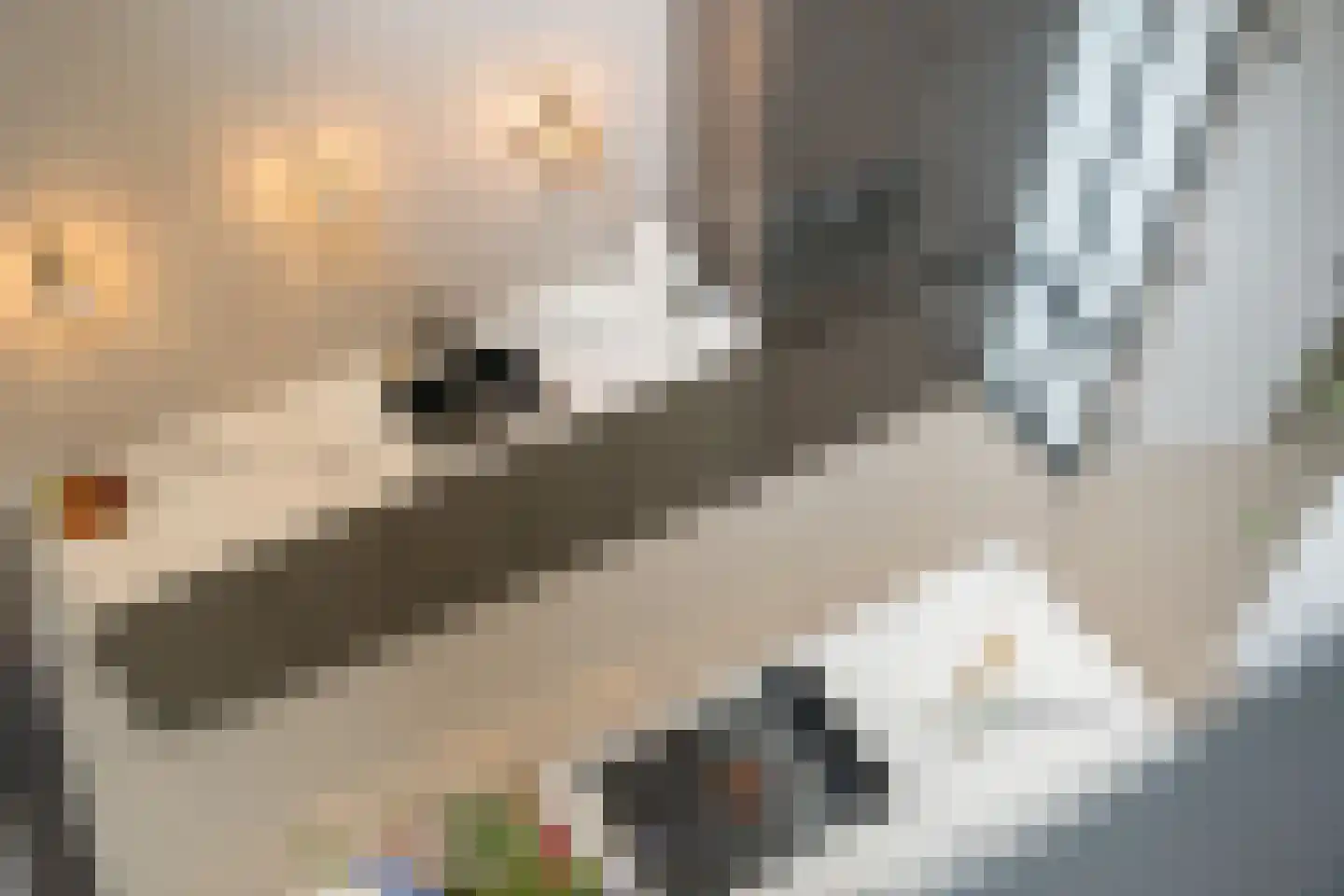 Gamerenstraat 20 A Amsterdam thumbnail 8