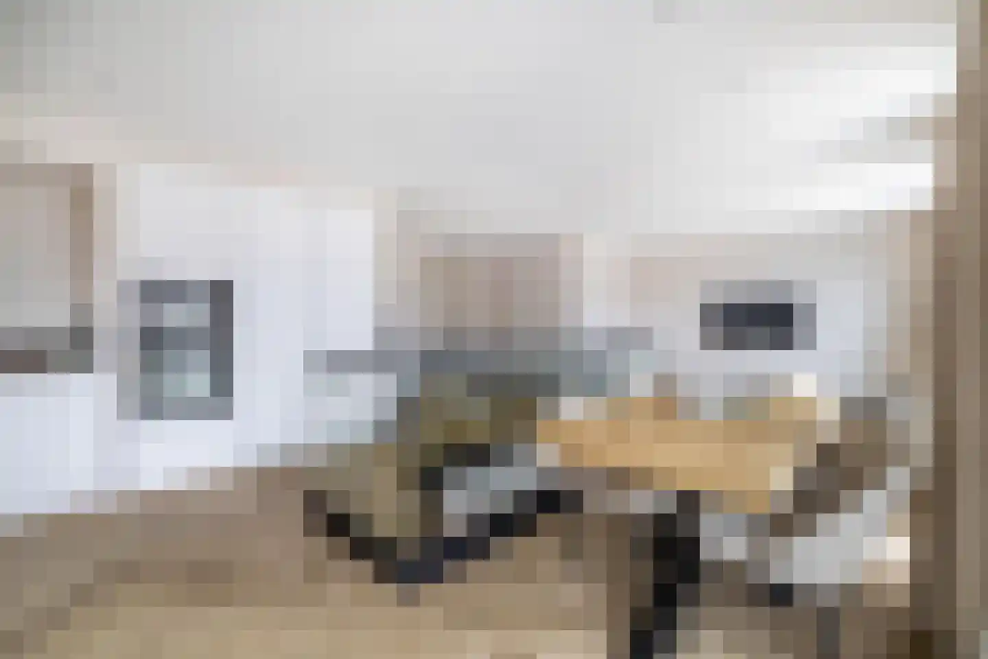 Gamerenstraat 61 C Amsterdam thumbnail 8