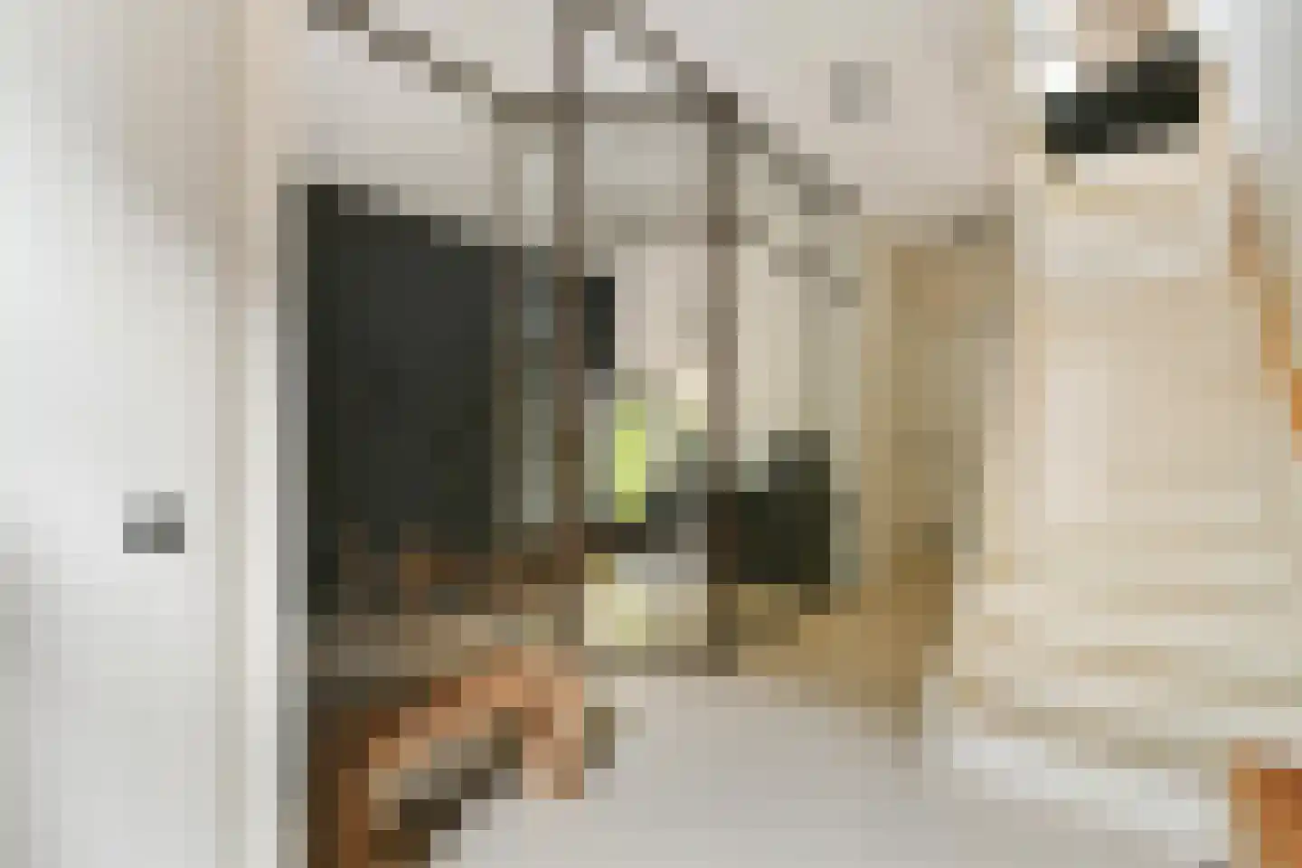 Gamerenstraat 93 Amsterdam thumbnail 12
