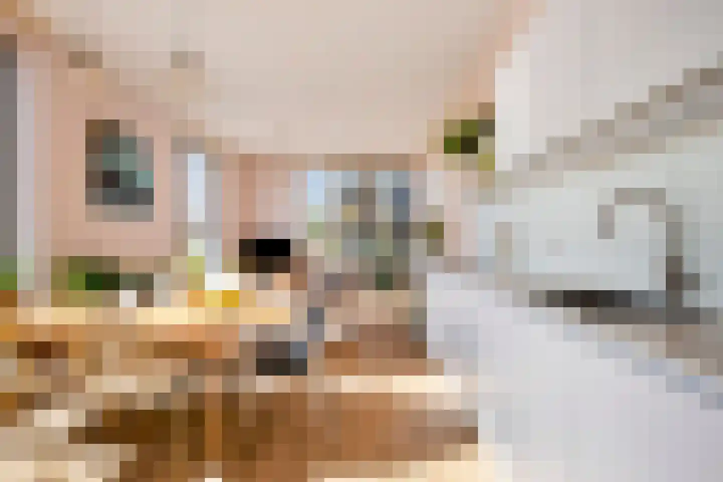 Gamerenstraat 99 Amsterdam thumbnail 11