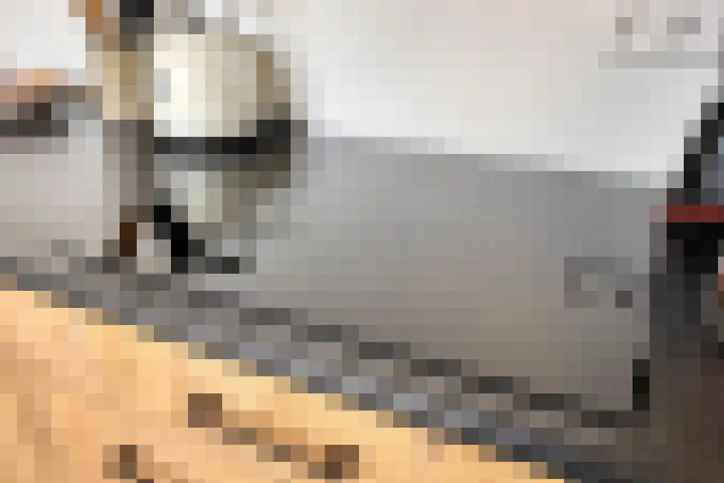 Gamerschedijk 27 Zaltbommel thumbnail 12