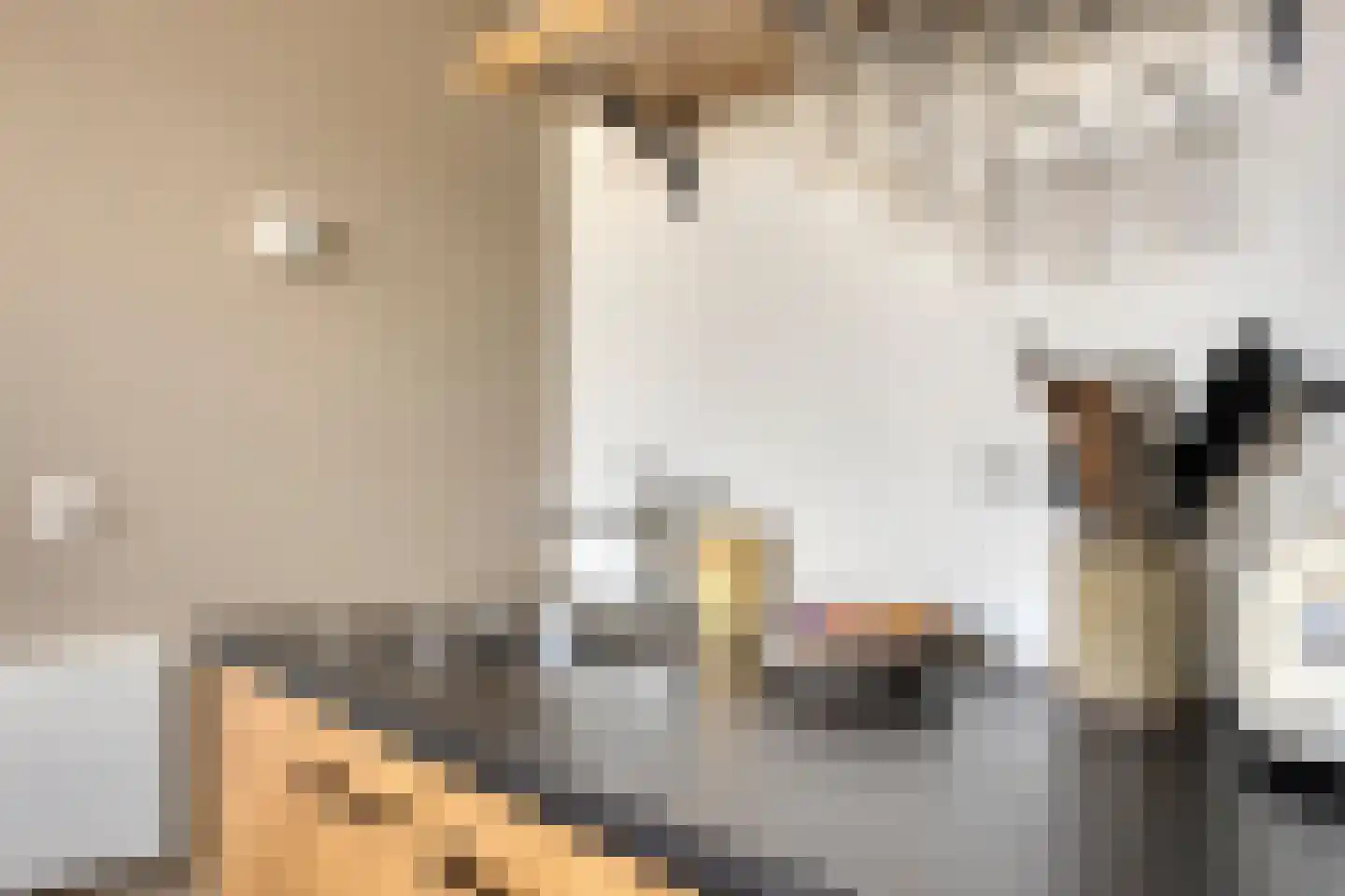 Gamerschedijk 27 Zaltbommel thumbnail 13