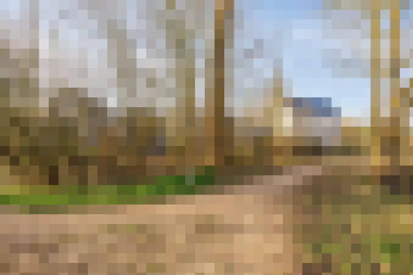 Gamerschedijk 27 Zaltbommel thumbnail 29