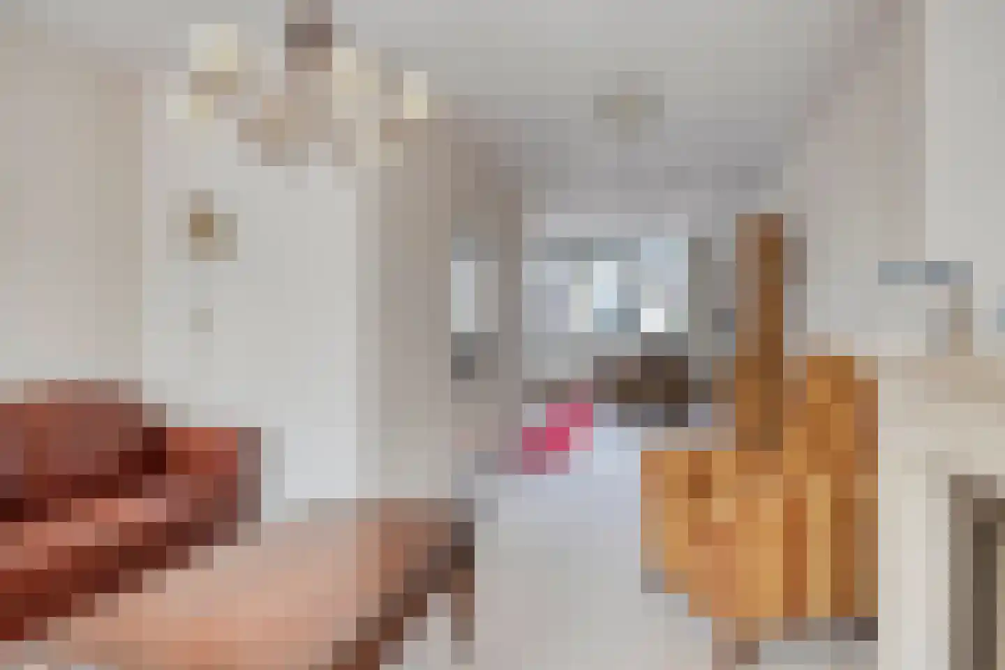 Gamerschestraat 28 Zaltbommel thumbnail 13