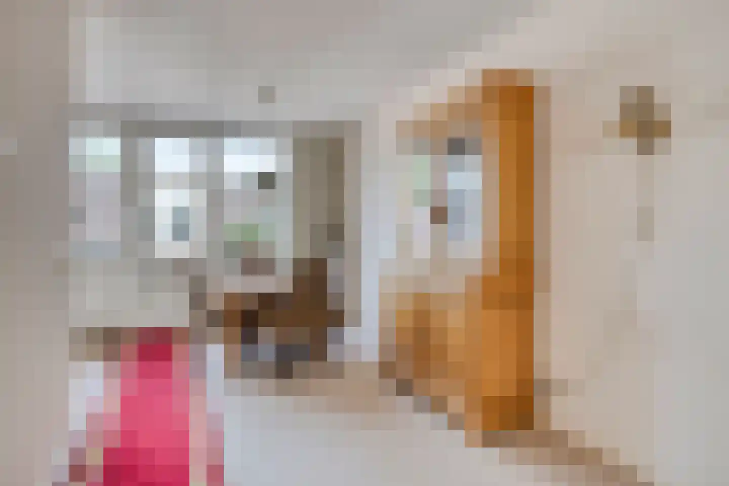 Gamerschestraat 28 Zaltbommel thumbnail 14