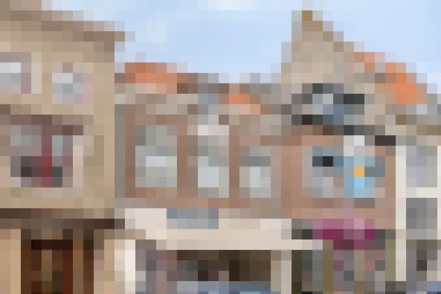 Gamerschestraat 28 Zaltbommel foto 2