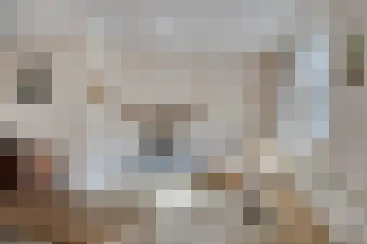 Gamerschestraat 30 Zaltbommel thumbnail 11