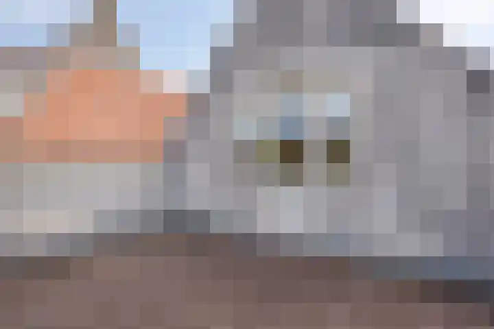 Gamerschestraat 30 Zaltbommel thumbnail 32