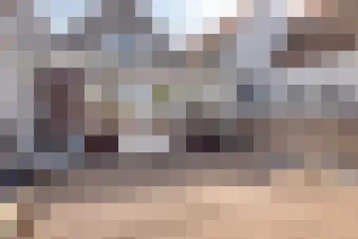 Gamerschestraat 30 Zaltbommel thumbnail 35
