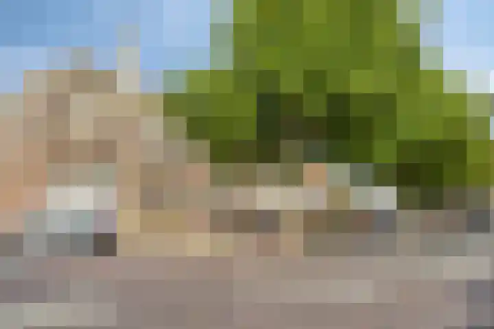 Gamerschestraat 30 Zaltbommel thumbnail 41