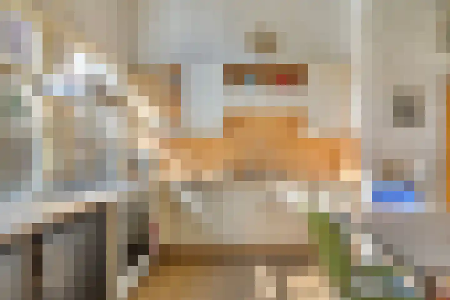 Gamerschestraat 51 Zaltbommel thumbnail 20