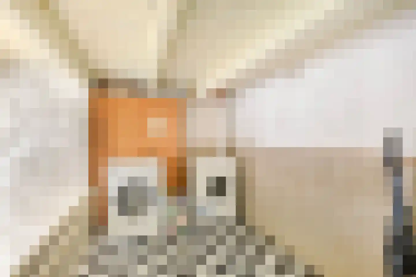 Gamerschestraat 51 Zaltbommel thumbnail 23