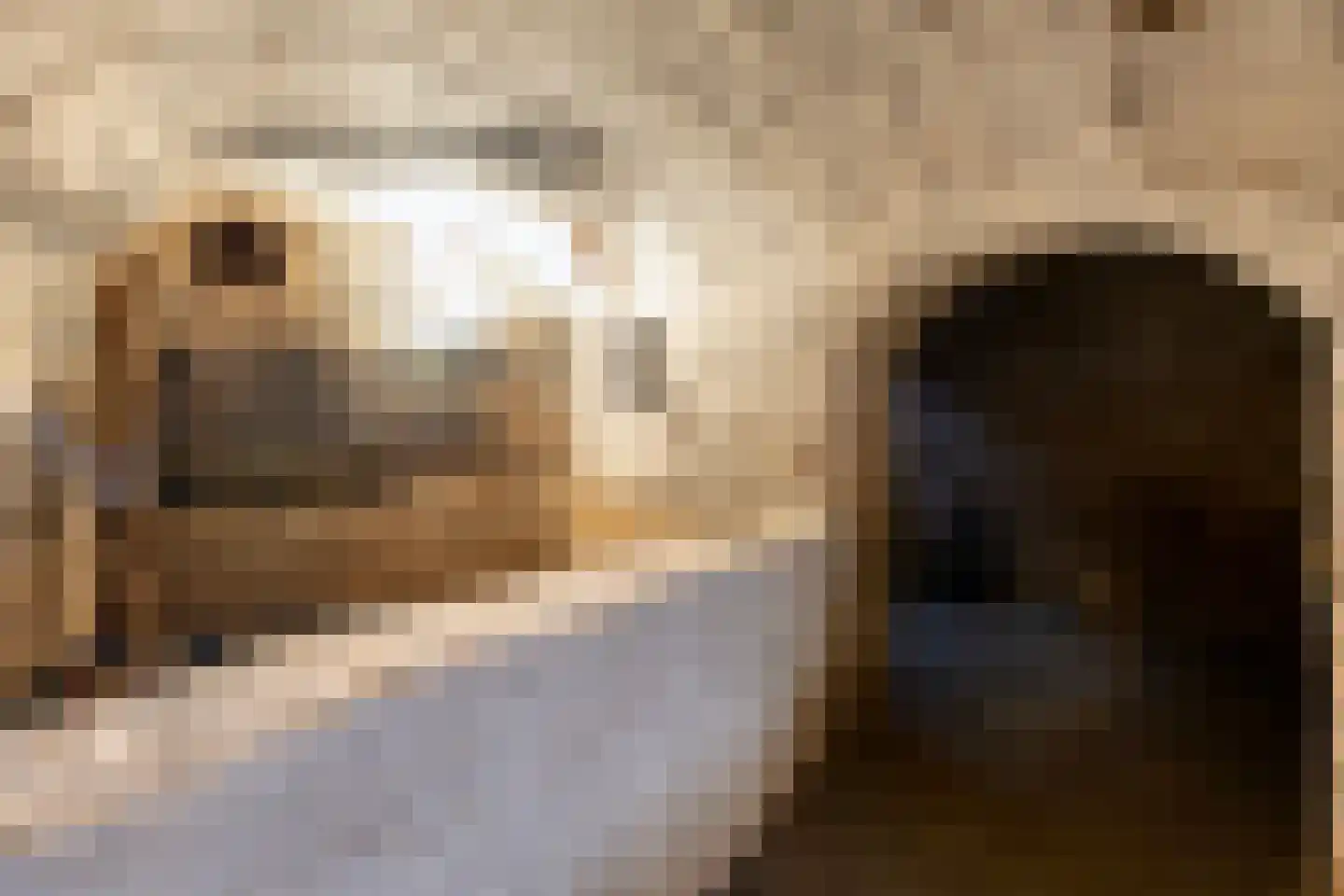 Gamerschestraat 51 Zaltbommel thumbnail 26