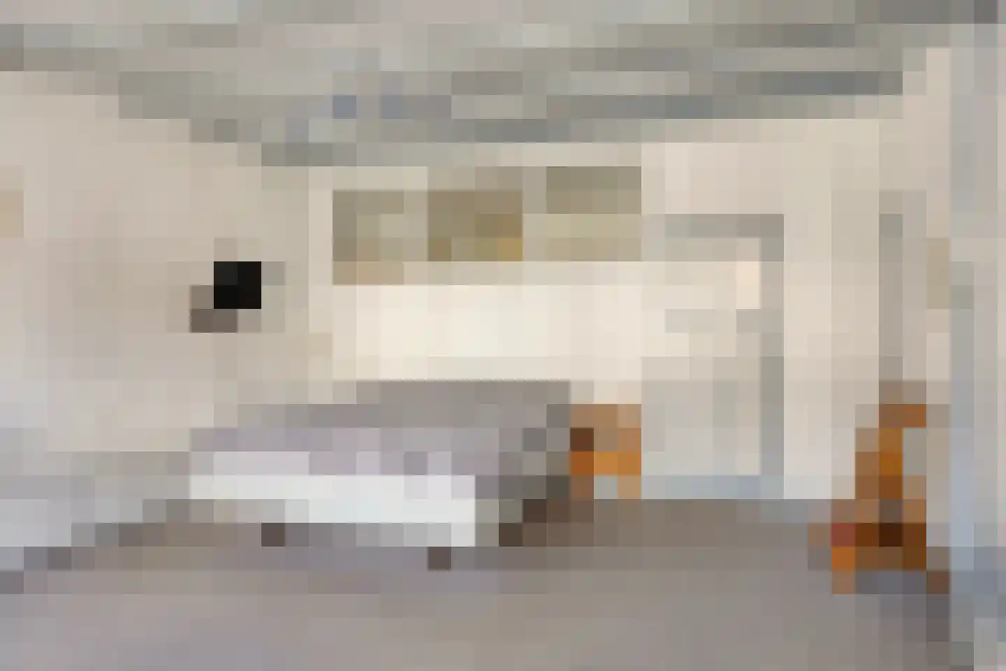 Gamerschestraat 51 Zaltbommel thumbnail 32