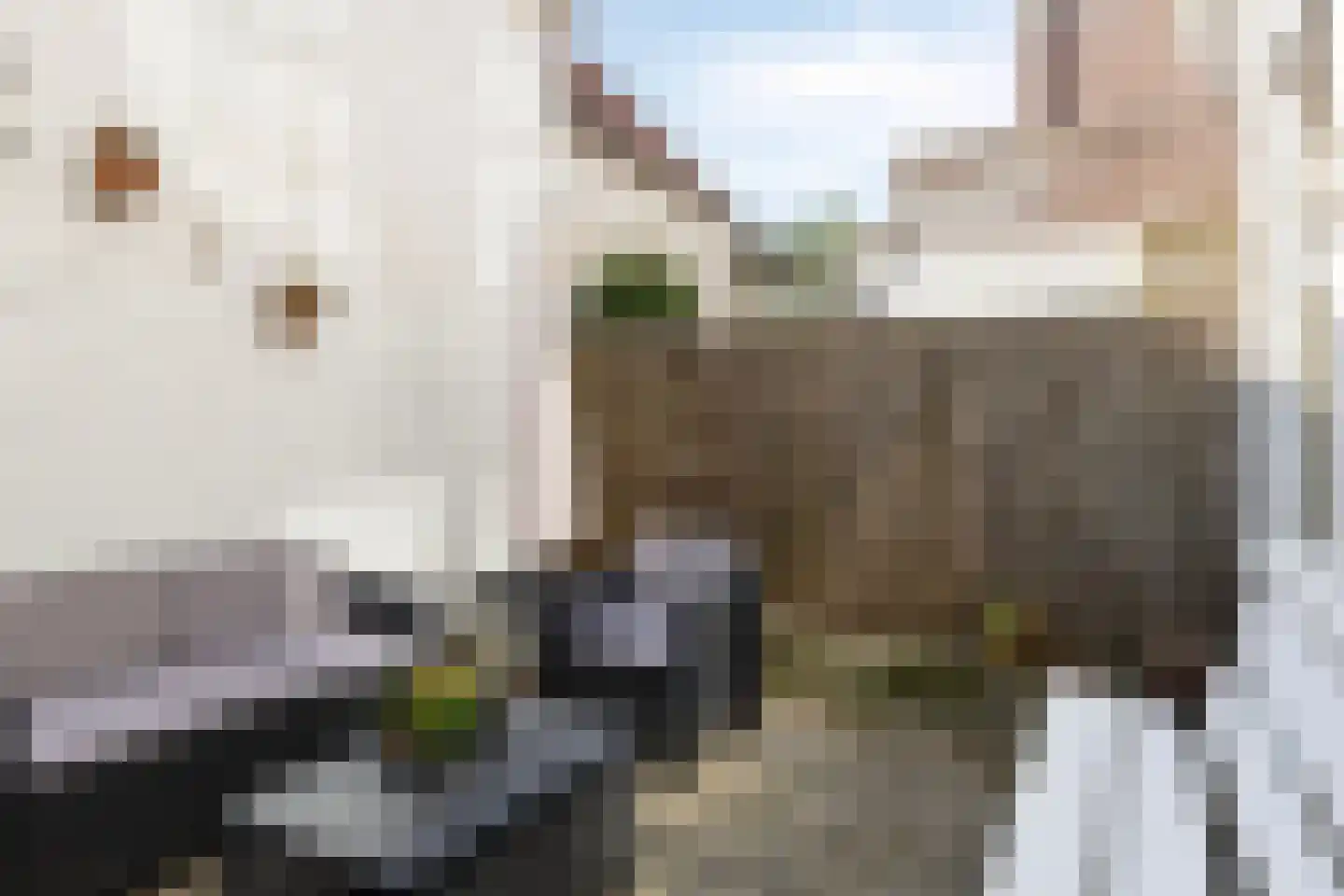 Gamerschestraat 51 Zaltbommel thumbnail 50