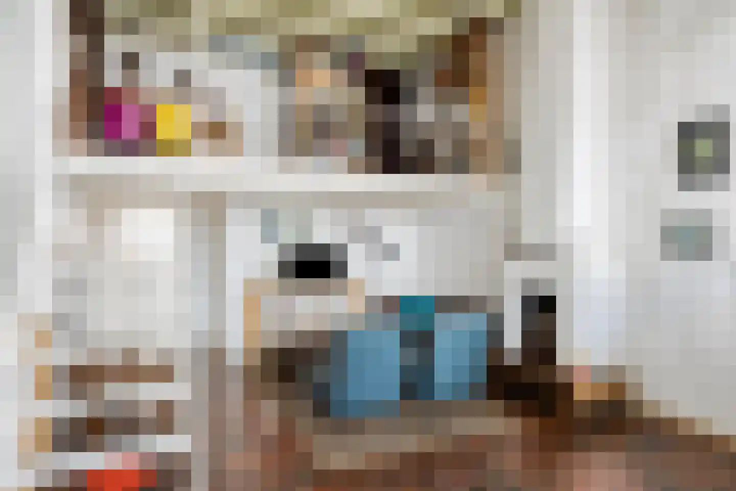 Gamerschestraat 51 Zaltbommel thumbnail 8