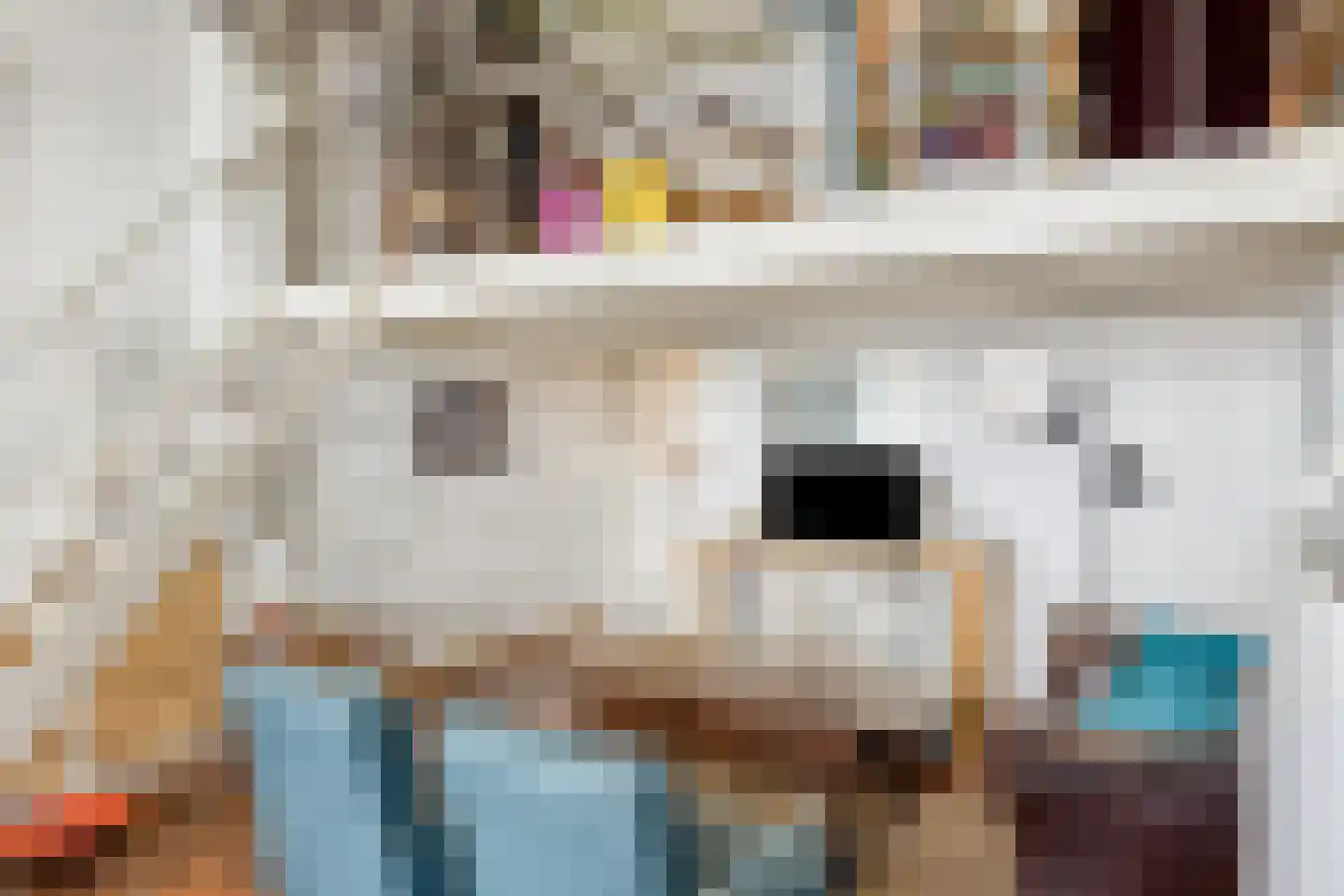 Gamerschestraat 51 Zaltbommel thumbnail 9