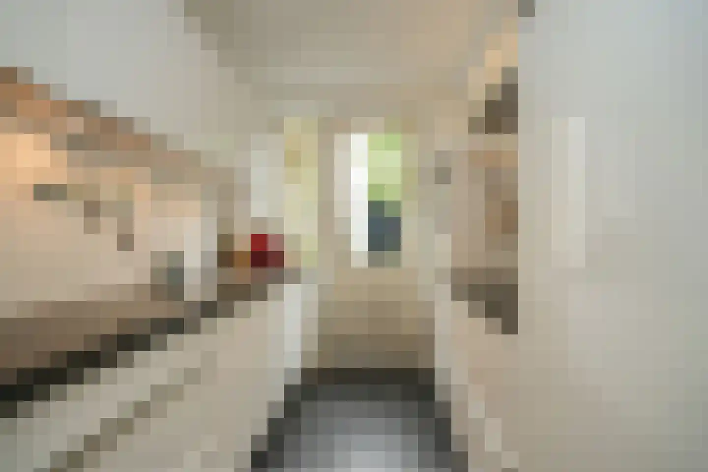 Gamerschestraat 54 Zaltbommel thumbnail 19