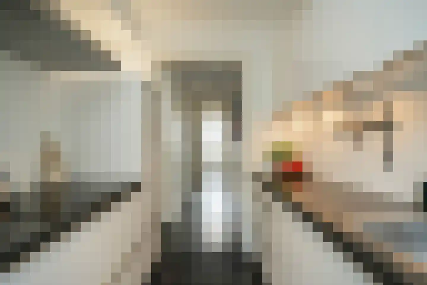 Gamerschestraat 54 Zaltbommel thumbnail 20