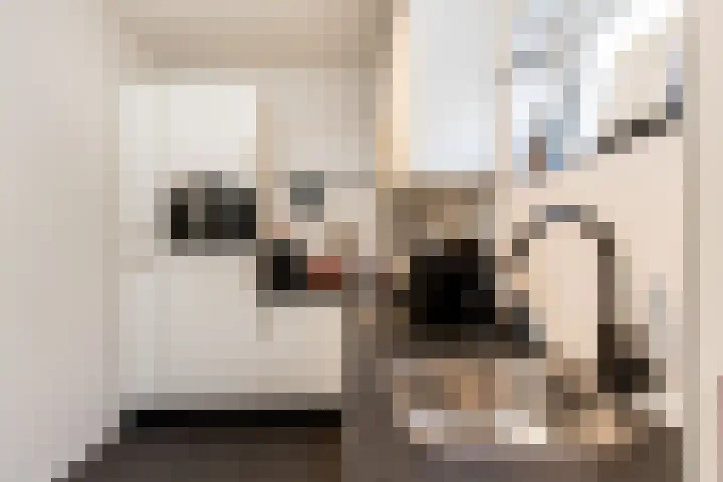 Gamerschestraat 55 Zaltbommel thumbnail 11