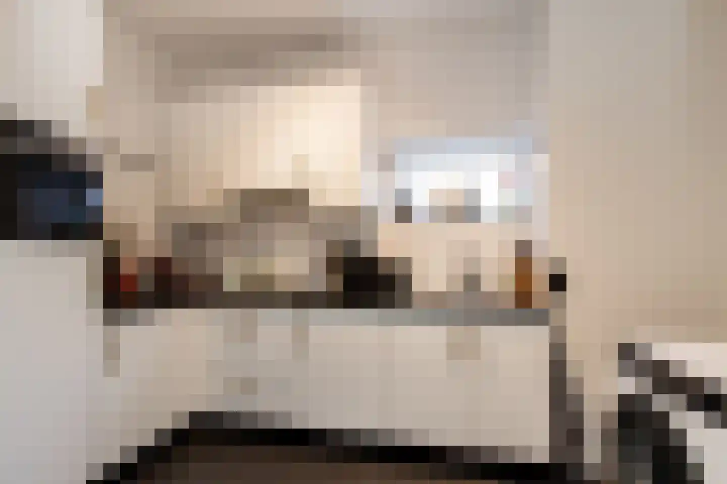 Gamerschestraat 55 Zaltbommel thumbnail 12