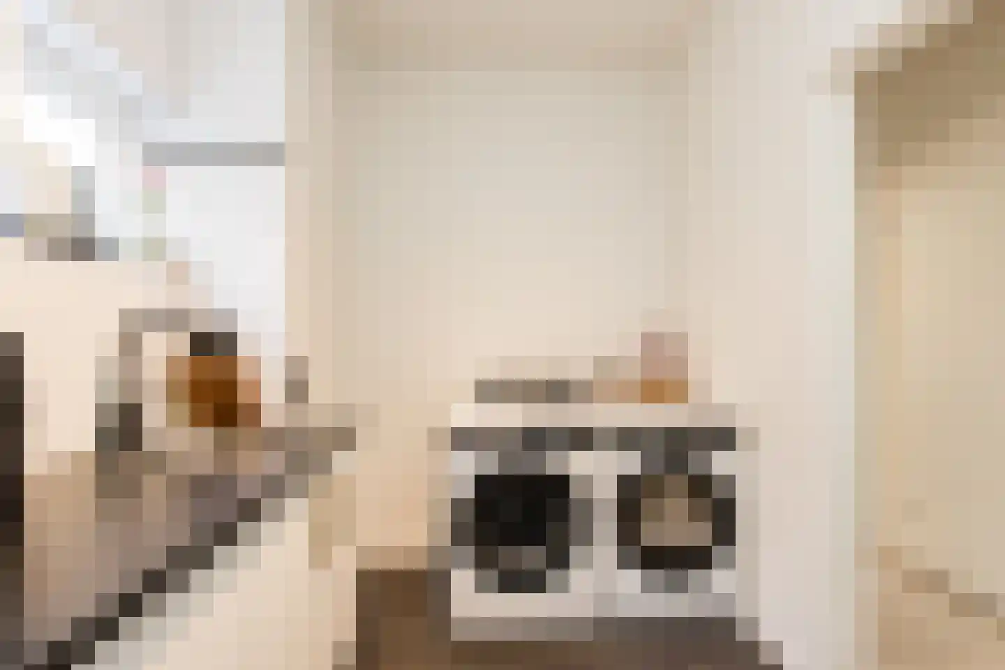 Gamerschestraat 55 Zaltbommel thumbnail 15