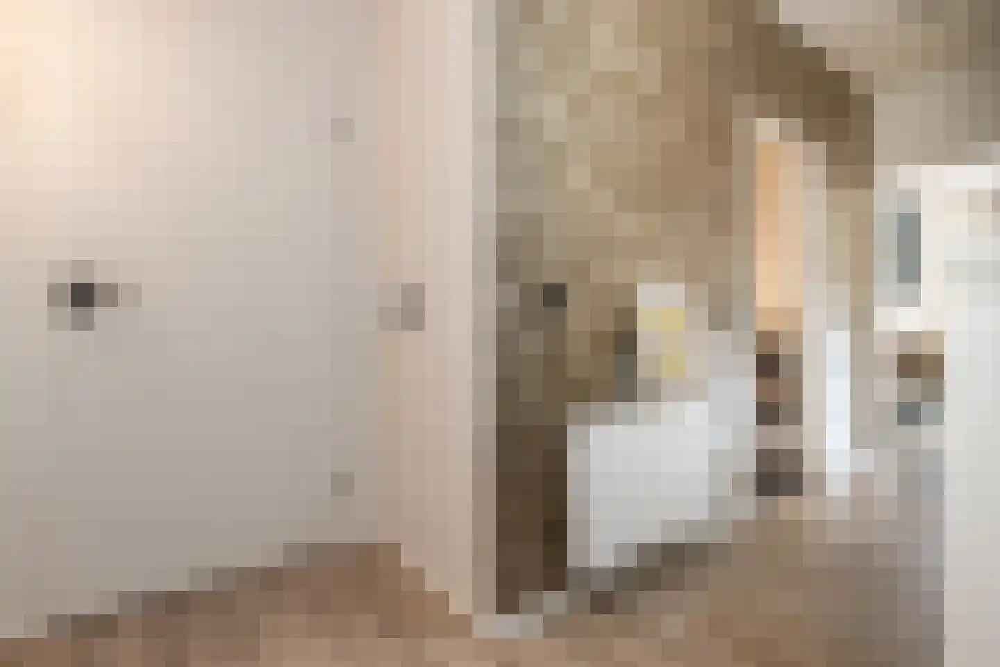 Gamerschestraat 55 Zaltbommel thumbnail 24