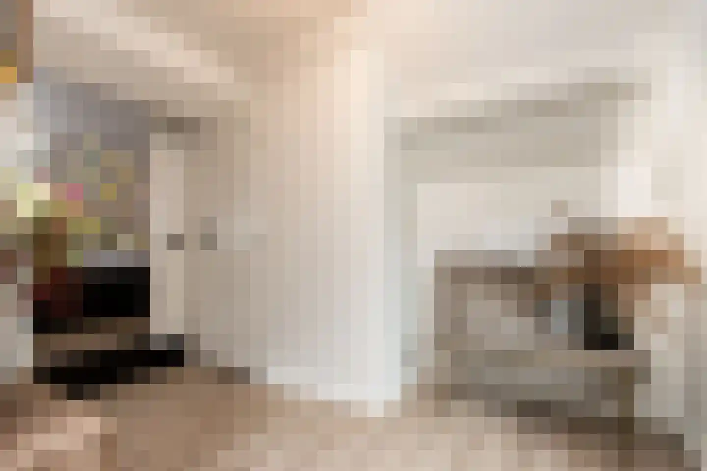 Gamerschestraat 55 Zaltbommel thumbnail 28