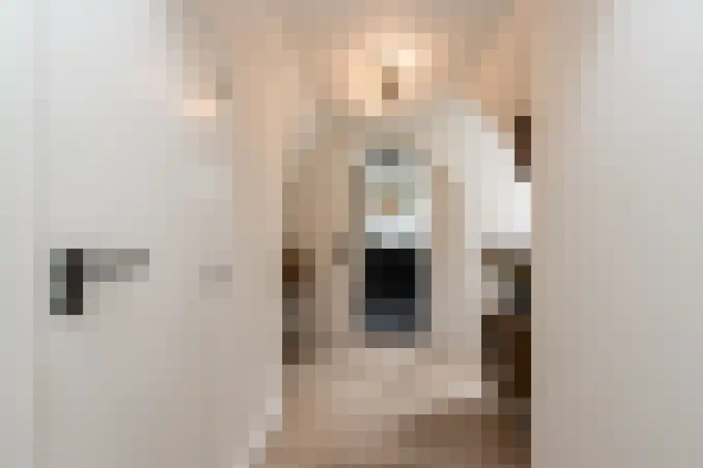 Gamerschestraat 55 Zaltbommel thumbnail 31