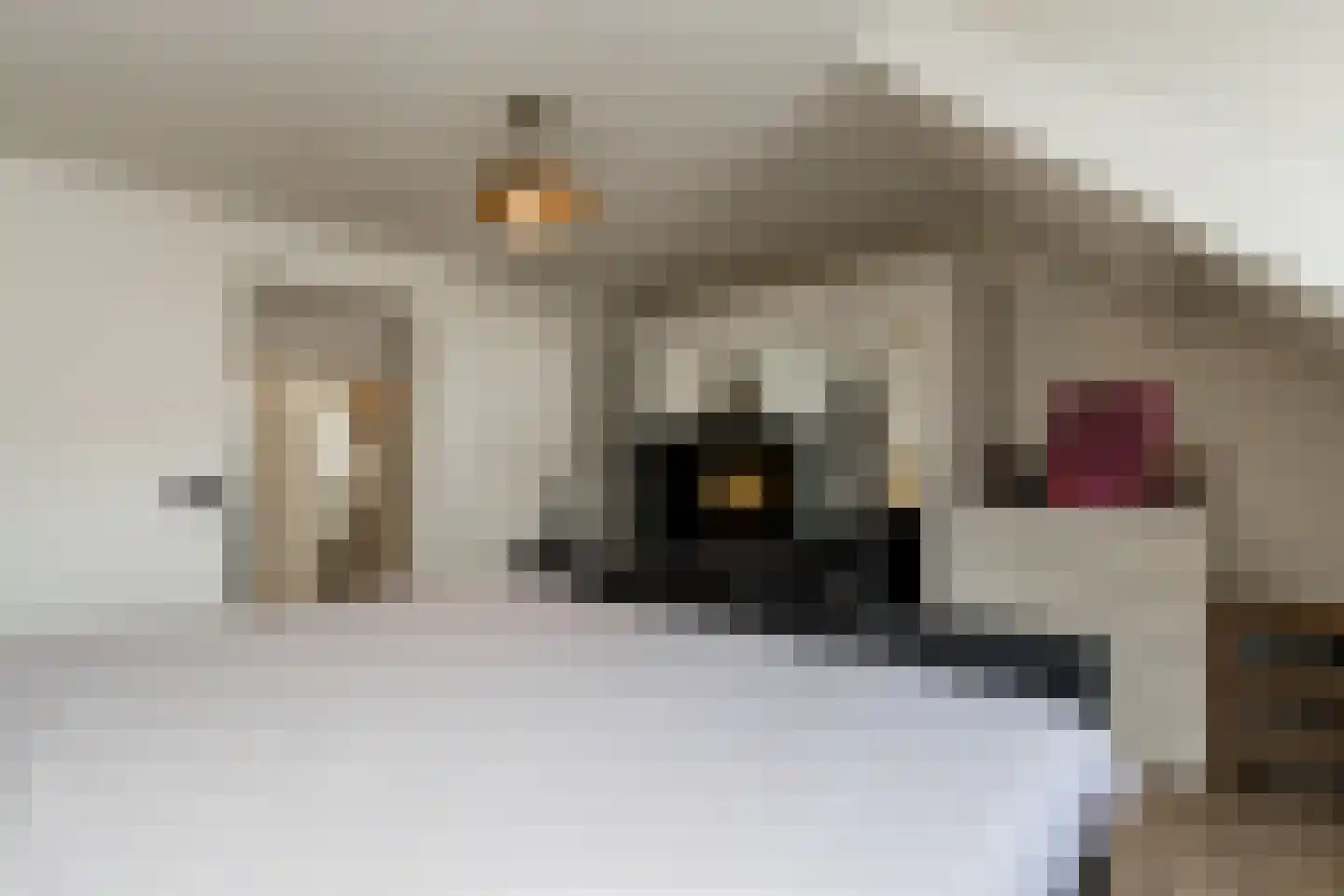 Gamerschestraat 55 Zaltbommel thumbnail 32