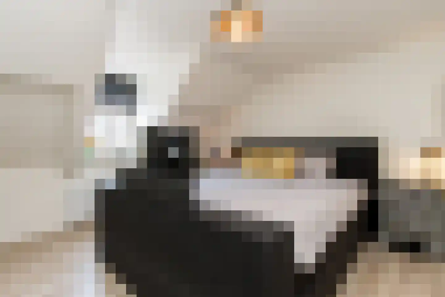 Gamerschestraat 55 Zaltbommel thumbnail 34